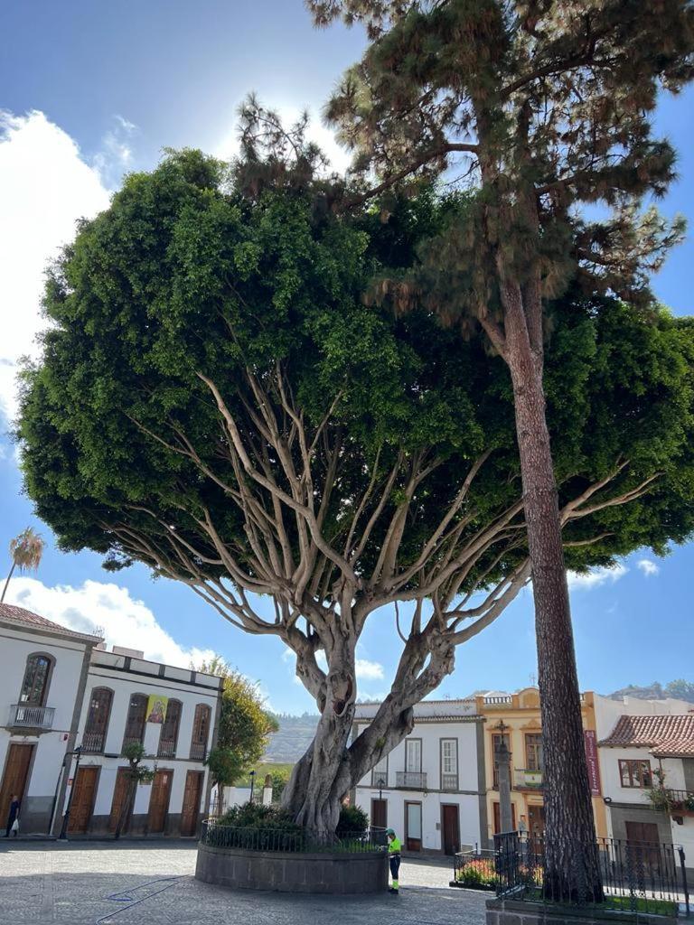 Casa En Teror Centrica Turismo De Ciudad Y Bosques Lägenhet Exteriör bild